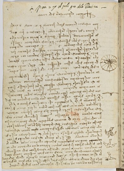 Code sur le vol des oiseaux, c. 1505-06, manuscrit sur papier, cc. 18, feuille 12 verso - Leonardo da Vinci